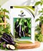 Brinjal Black Long - Image 1